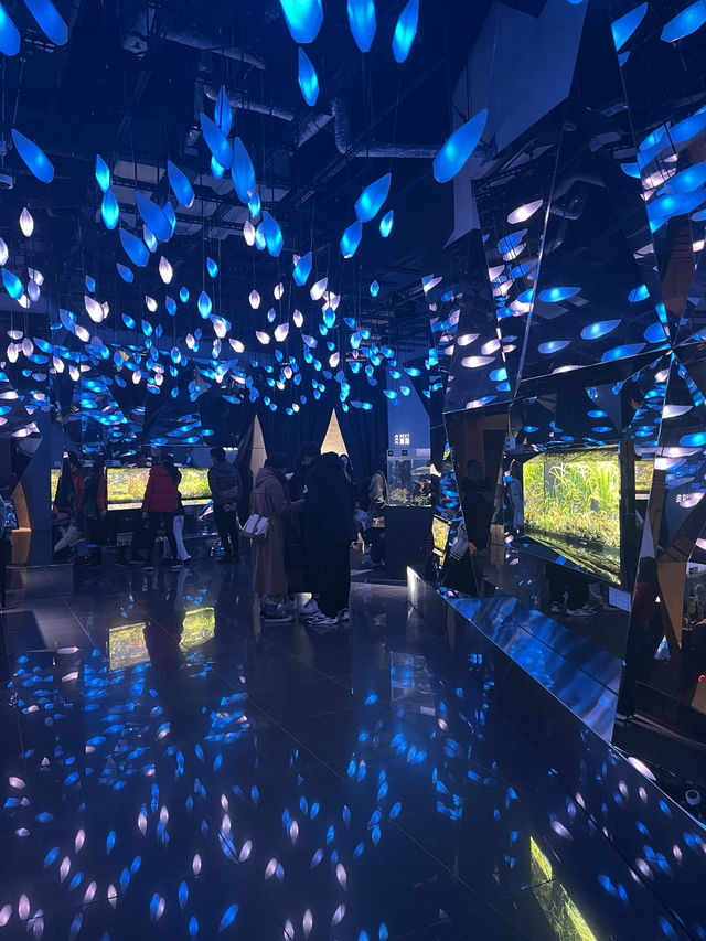 【兵庫】神秘的でアートな水族館