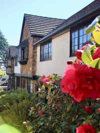 Charming colonial stay with windmill views in Launceston