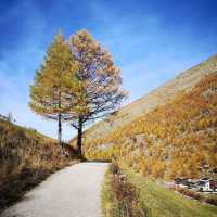 Saas-Fee: A Car-Free Alpine Paradise of Glaciers, Peaks & Swiss Charm