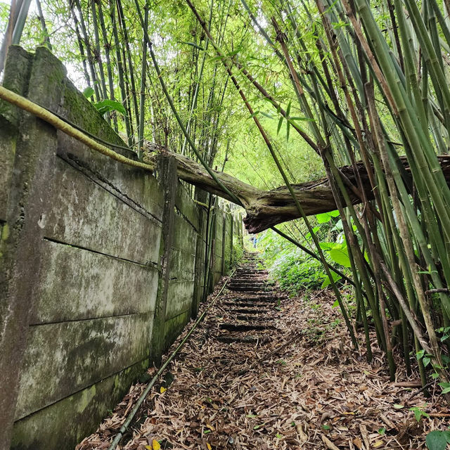 陽明山山豬湖山走走