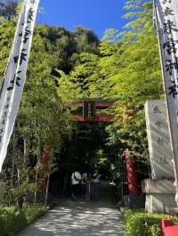 🌿【熱海・來宮神宮】樹齢2000年の御神木に会いに行く、癒しのパワースポット