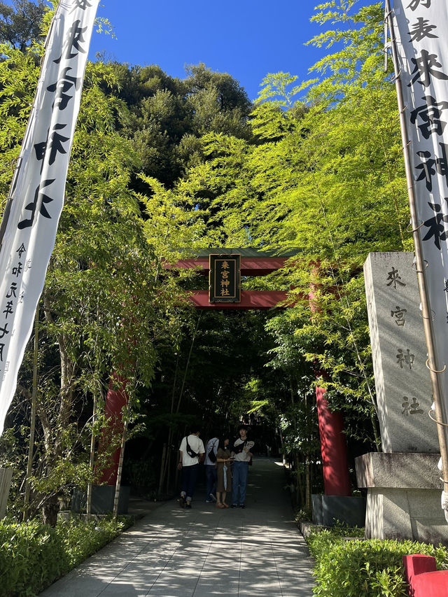 🌿【熱海・來宮神宮】樹齢2000年の御神木に会いに行く、癒しのパワースポット