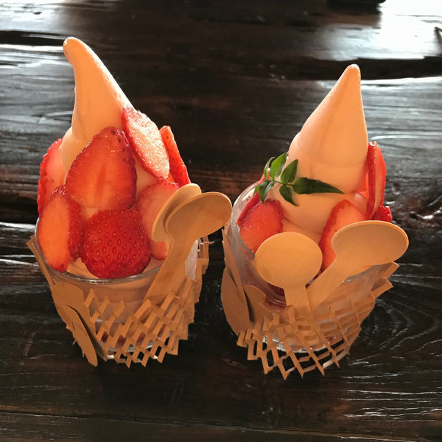 🤎강원도고성 오션뷰 카페 🏝️노메드
