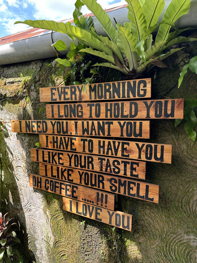 🌿A 2D1N Quick & Dreamy Escape into Bali’s Jungle Heart - Ubud