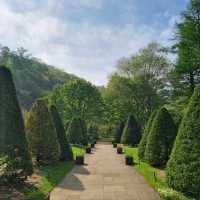 Jade Garden Daydream