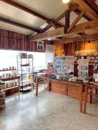 ｜韓國｜釜山白淺灘소소한횐여울-海景貓咪小店