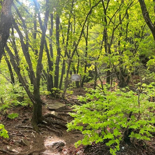 Cheonmasan Peak