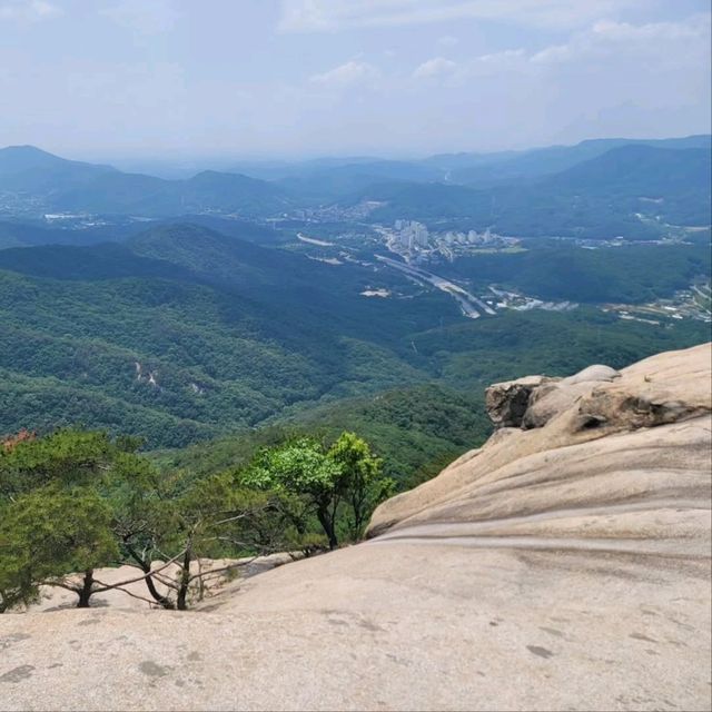 Quiet Trails, Forest Feels, and a Sneaky-Good Summit