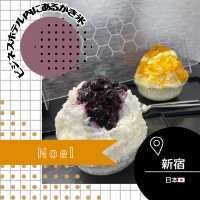 【東京/新宿🇯🇵】ビジネスホテル内にあるかき氷屋さん🍧noel