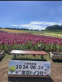 🌸自然と異国情緒が融合する癒しの空間「東京ドイツ村」へ