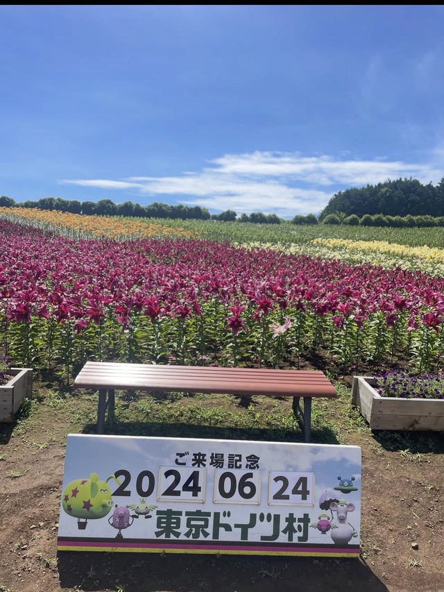 🌸自然と異国情緒が融合する癒しの空間「東京ドイツ村」へ