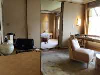 新加坡靚景首選酒店Ritzcalton ⭐️⭐️⭐️⭐️⭐️