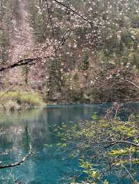 Where waterfalls sing and lakes mirror the sky: Discover Jiuzhaigou