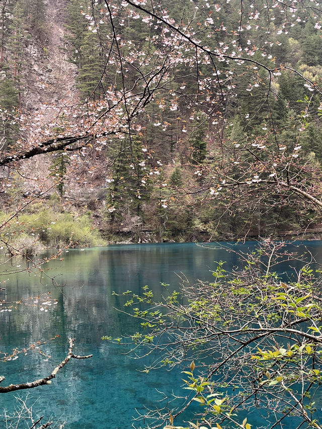 Where waterfalls sing and lakes mirror the sky: Discover Jiuzhaigou