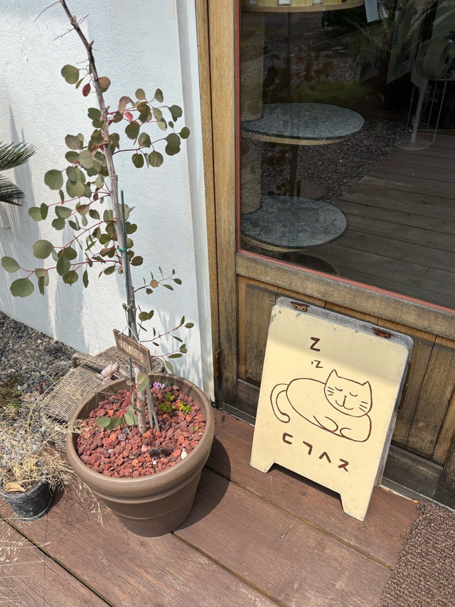 💫🫧제주 애월카페 다과상점 
