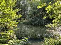 🌿 Huanhuaxi Park – A Calm Escape in the Heart of Chengdu