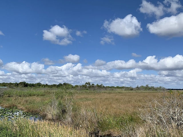Everglades National Park