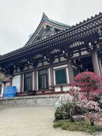 Tochoji Temple — My Peaceful Escape in Fukuoka 🌿🛕