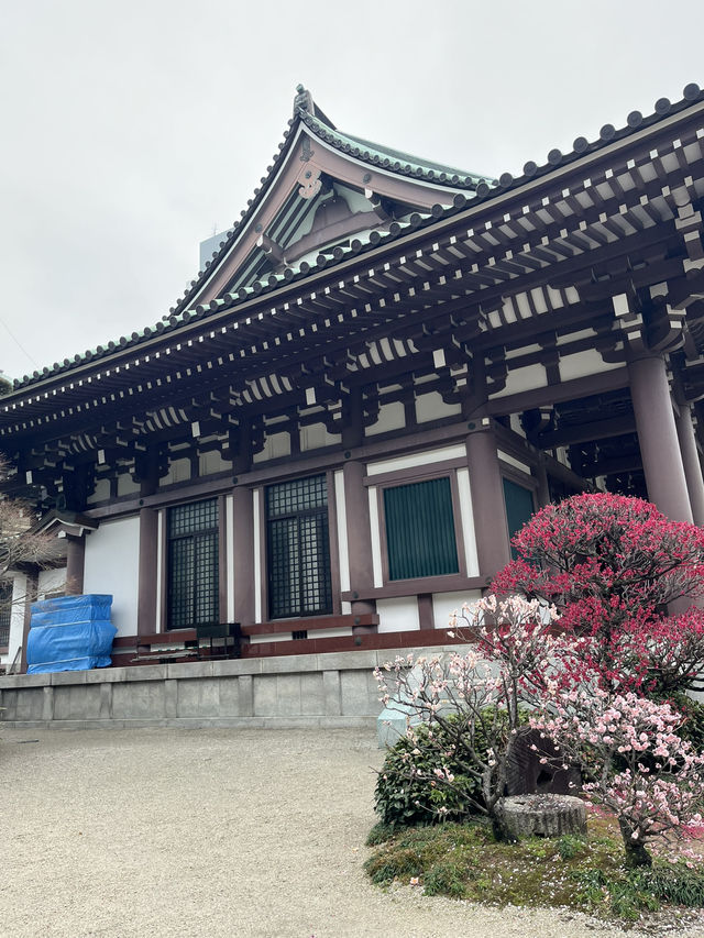 Tochoji Temple — My Peaceful Escape in Fukuoka 🌿🛕