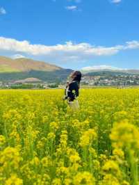 "Blossoms and Beyond: Springtime in Yunnan China” 🌸🌼🌺