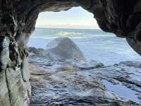 🚶‍♀️ Sydney Coastal Walk: Manly Wormhole Adventure 🐛