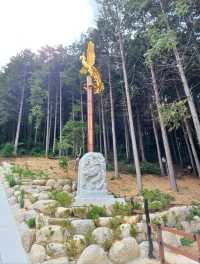 따뜻한 산책