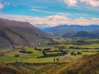 湖に佇む孤高のシンボル！「That Wanaka Tree」の神秘的な美しさ