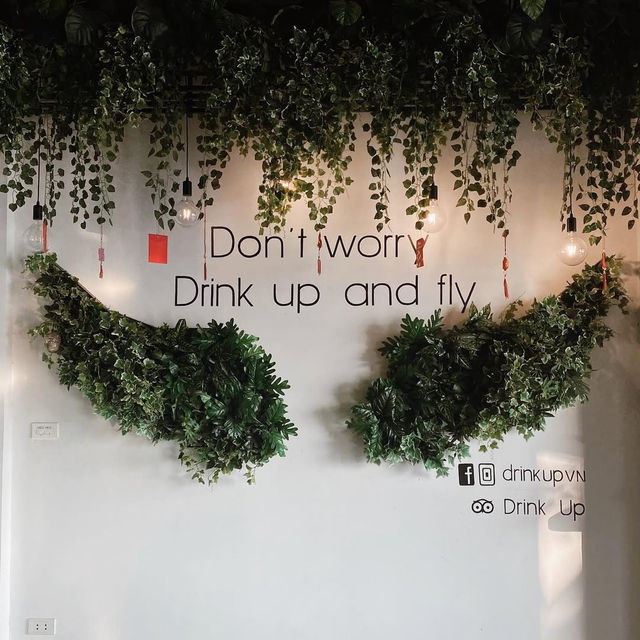 Drink Up