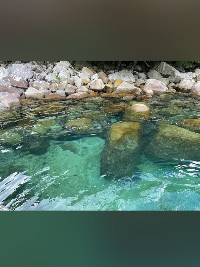 【海に続く神秘の鳥居⛩️阿古師神社で“祈りの絶景”に出会う】