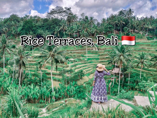 Surga Hijau - Sawah Terasering Tegallalang, Bali