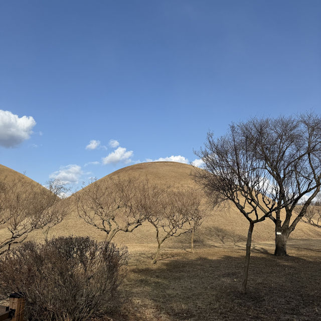 경주 가족 여행 갈때 싸우지않고 다녀온 무계획 1박 2일 코스!