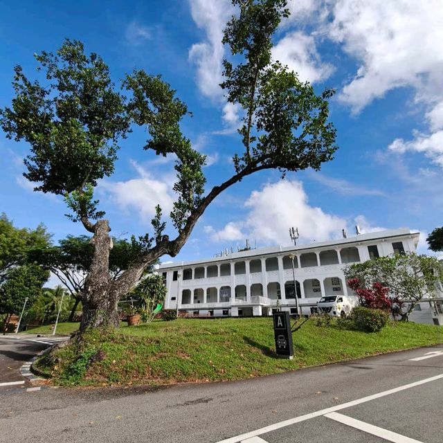 Gillman Barracks (Free art galleries)