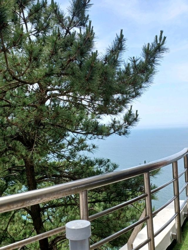 트레킹 좋아하는 사람에게 딱 좋은 길