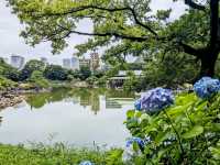 東京 | 清澄庭園賞花，以名石奇岩著稱的日式庭園