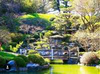 布魯克林植物園