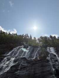 Bergen City Walk & Fjord Cruise – A Perfect Norwegian Day