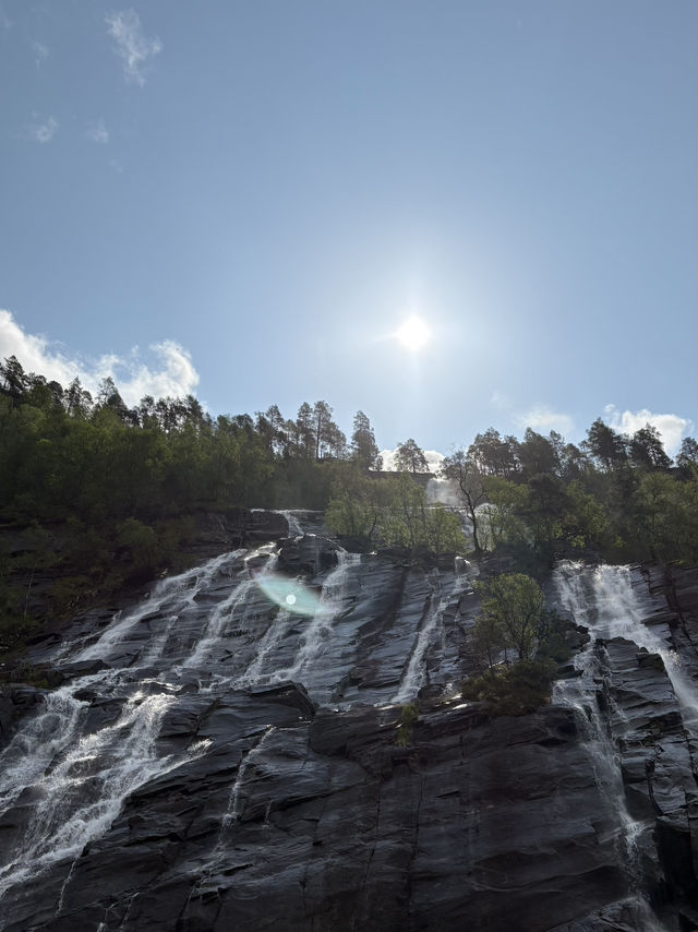 Bergen City Walk & Fjord Cruise – A Perfect Norwegian Day