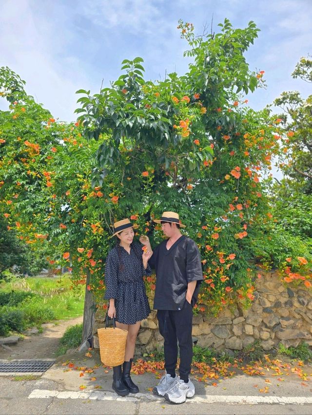 사랑스런 능소화가 핀 구례 한옥카페🧡