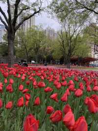 “Jing’an Sculpture Park เที่ยวเพลิน เดินชิล
