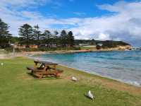 坎贝尔港（Port Campbell）—大洋路上的悠闲小镇