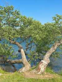 남양주/양평 당일치기로 가기 좋은 물의정원 🌳