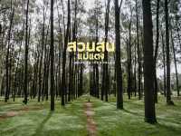 สวนสนแม่แตง : เชียงใหม่