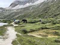 🏔️ Trekking the Last Shangri-La — 📍Luorong Pasture → Milk Lake → Five-Colour Lake 