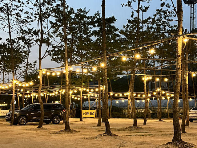 강변 야외 데이트