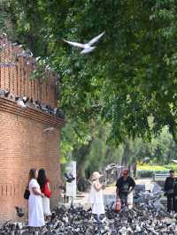 The Phae Gate: Where Ancient Bricks Pulse With Modern Life!