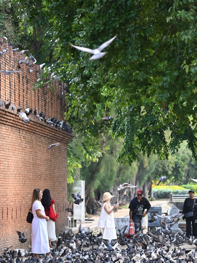 The Phae Gate: Where Ancient Bricks Pulse With Modern Life!