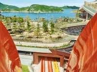 清涼一夏必去！海洋公園水上樂園，帶你暢玩濕身狂歡 🎉