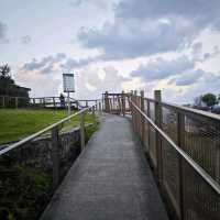 Watsons Bay & Gap Bluff