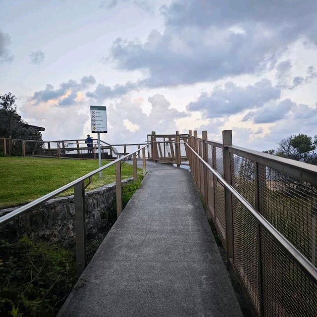 Watsons Bay & Gap Bluff