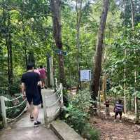 🍃Post-Hike Treat at Hill & Heal Café – A Hidden Gem in Kluang!🌿